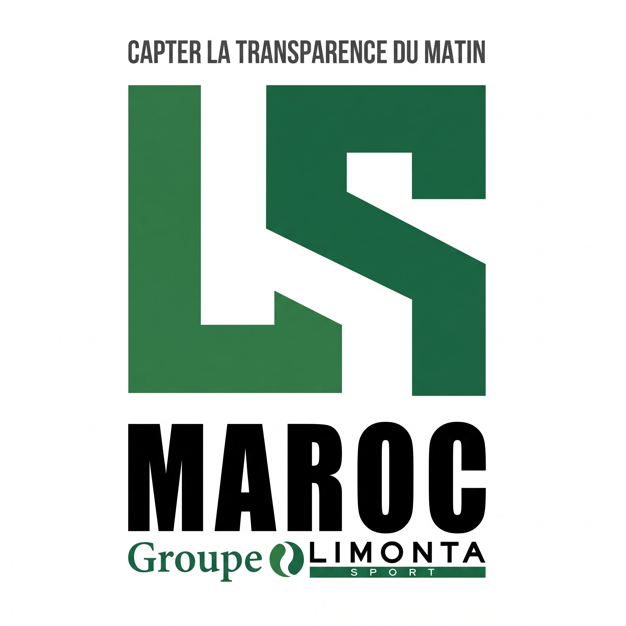Logo LS MAROC